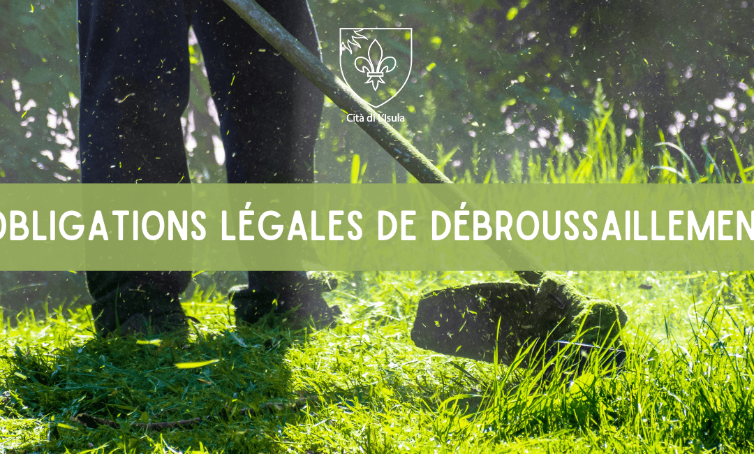 Les Obligations Légales de Débroussaillement