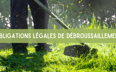 Les Obligations Légales de Débroussaillement