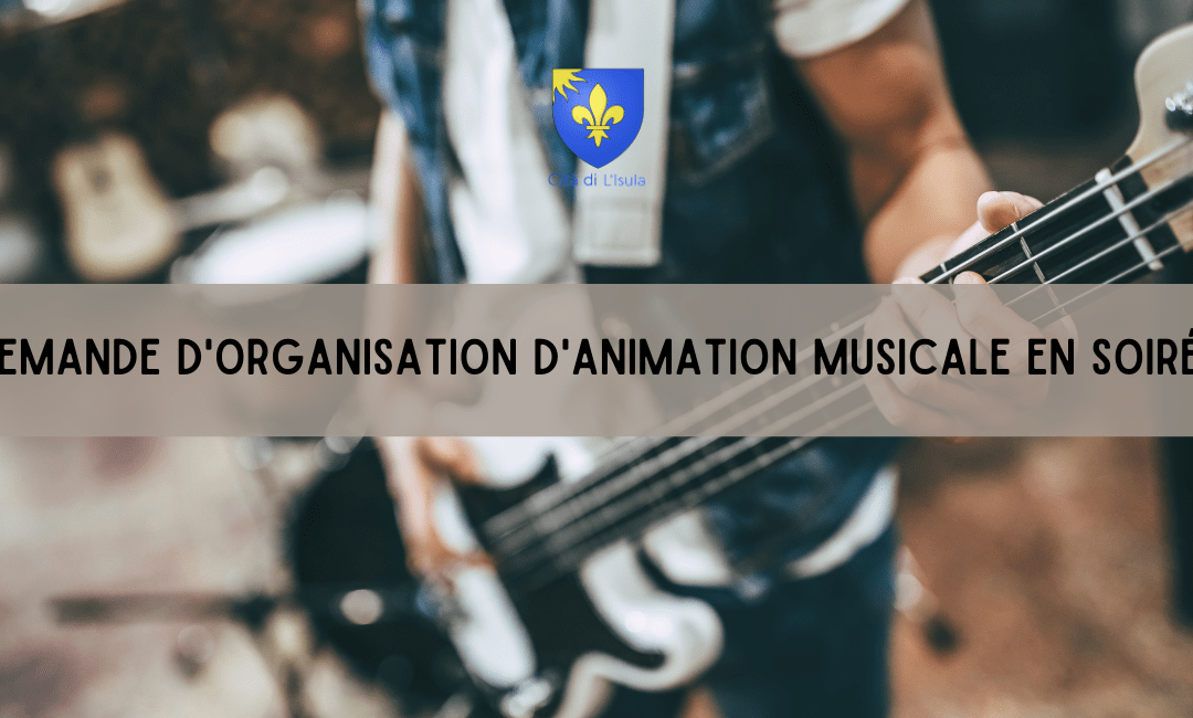 Demande d’organisation d’animation musicale en soirée