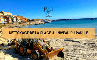 Nettoyage de la plage au niveau du Padule