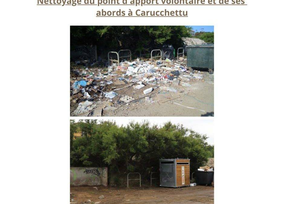 Nettotage du site de Carucchettu