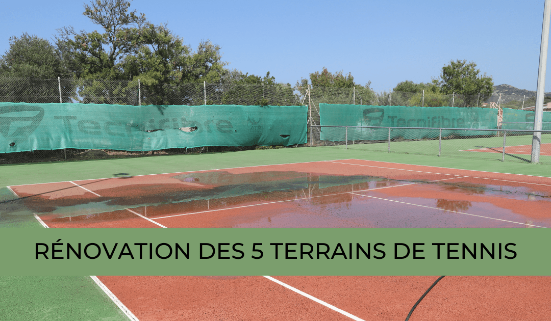 Terrain de tennis